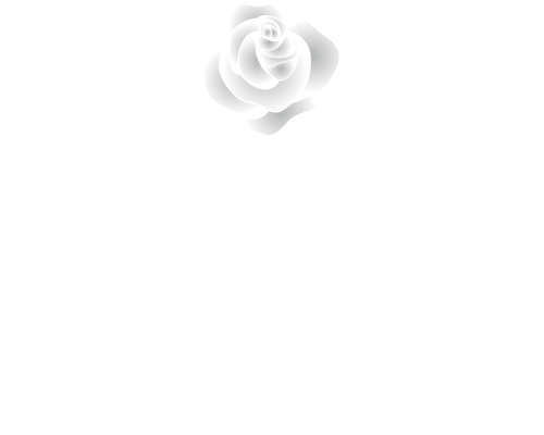 ActioNロゴ